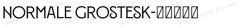 Normale Grostesk字体转换